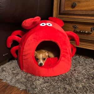 Meet your Posher, Pinita